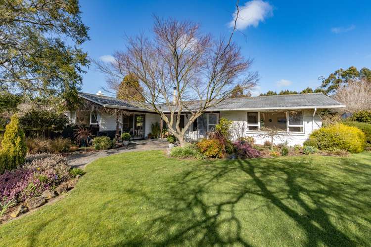 1029 Tram Road Swannanoa_1