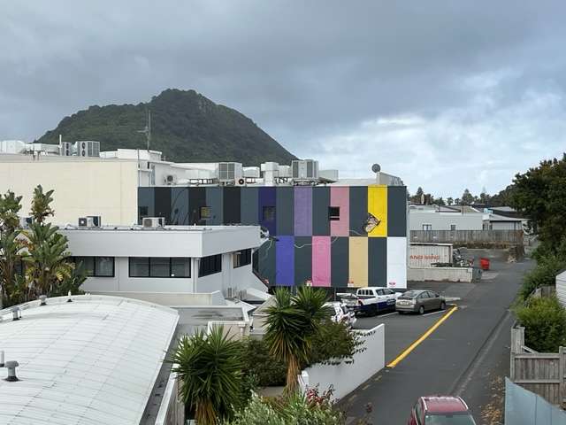 The Moorings 210/277 Maunganui Road