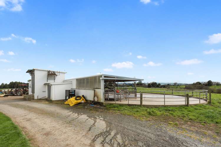 711 Horrell Road Morrinsville_5