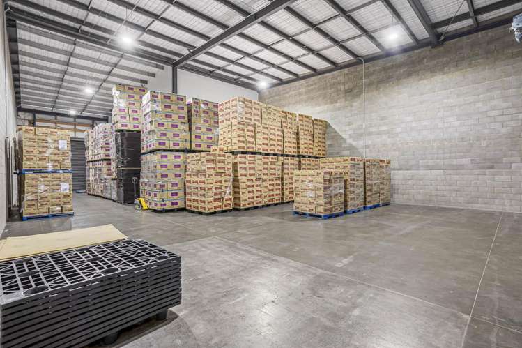 3/10F Piermark Drive Albany_6