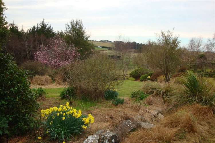 31 Craigie Road Pareora_21