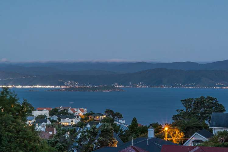 90 Pitt Street Wadestown_16