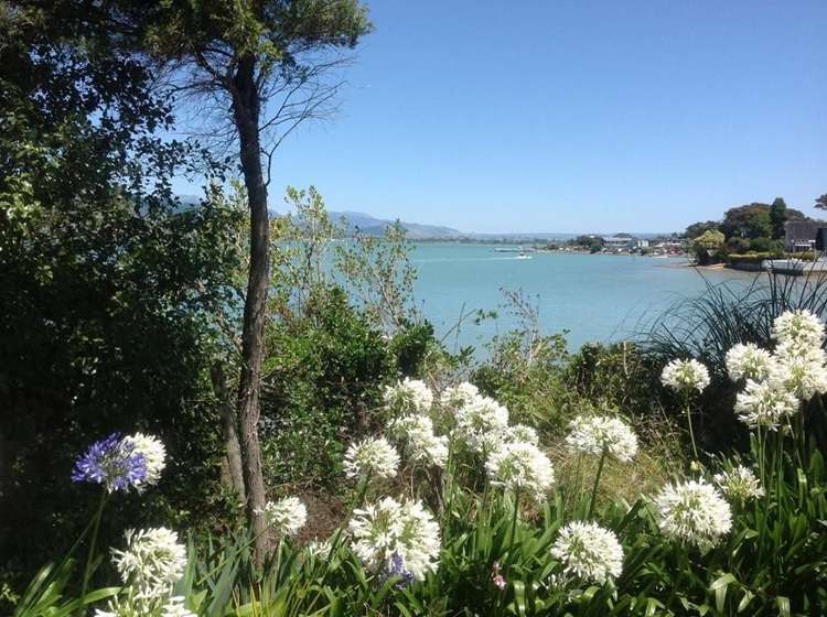 33 Martin Street Monaco_15