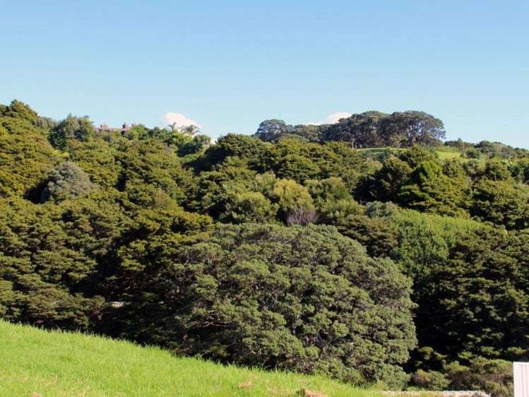 30 Taranga Road Langs Beach_8