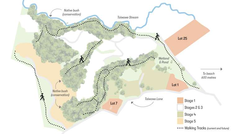 Lot 25/104 Taiwawe Lane Hot Water Beach_9