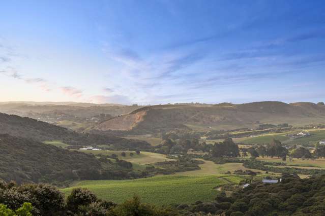 11 Musson Drive Waiheke Island_4