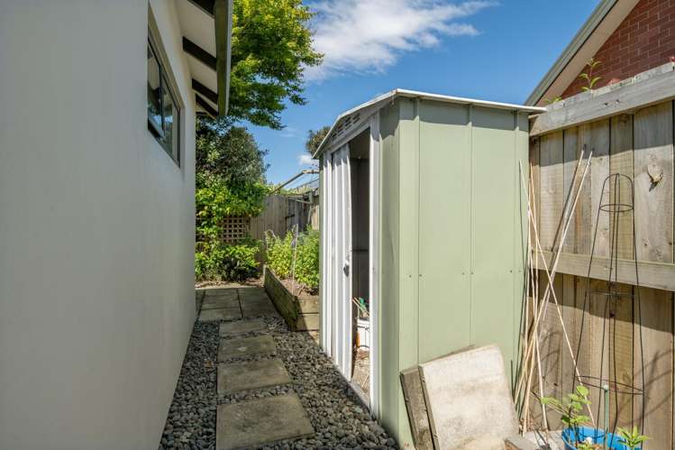 15 Ward Street Springlands_21