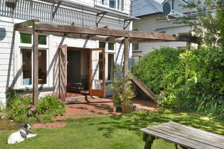 195 Forbury Road Saint Clair_15