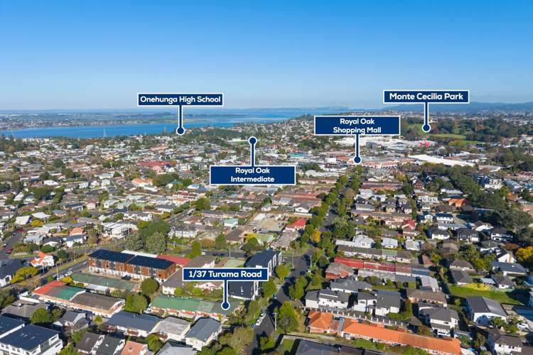 1/37 Turama Road Royal Oak_19