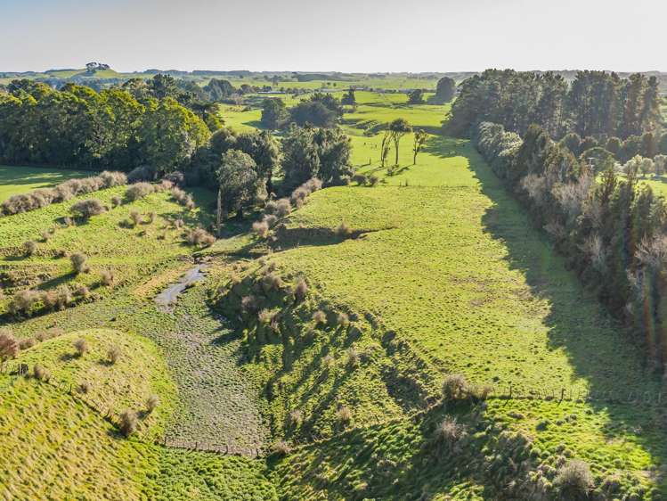 138 Lindsay Road Levin_5