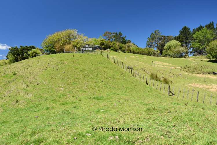 311 Franklin Road Paparoa_39