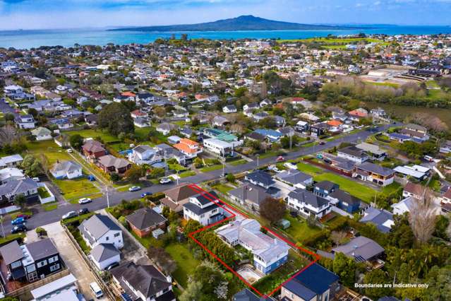 73 Francis Street Hauraki_1