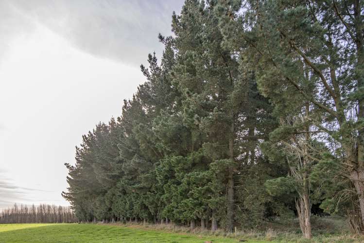 10 Jelfs Road Woodend_8