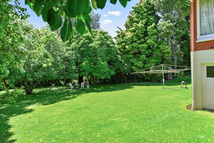 386 Ulster Street Beerescourt_23