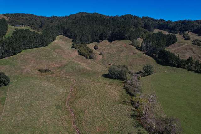 722 Maratoto Road Hikutaia_3