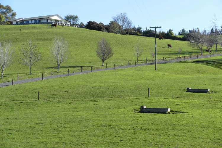 712 Matapiro Road Crownthorpe_19