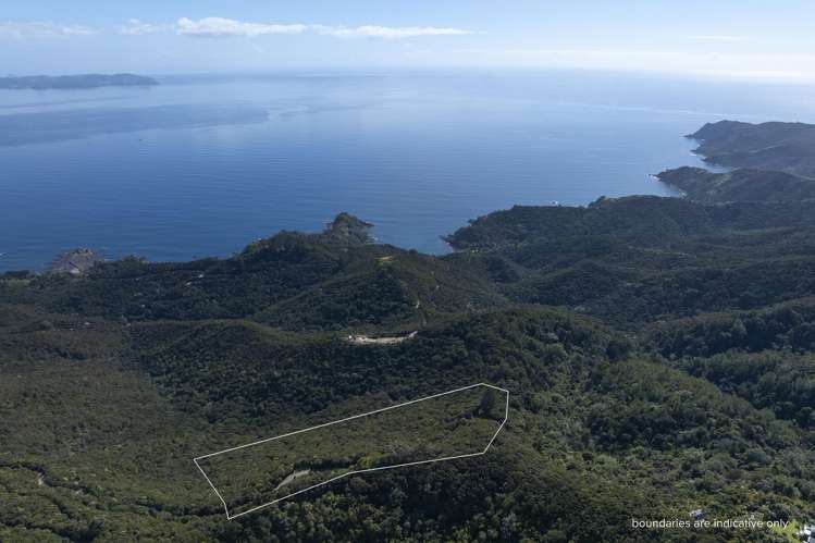LOT 2 303 Waiaua Road Hihi_13