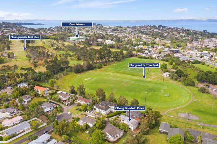 7 Doug Goodwin Place Mount Roskill_19