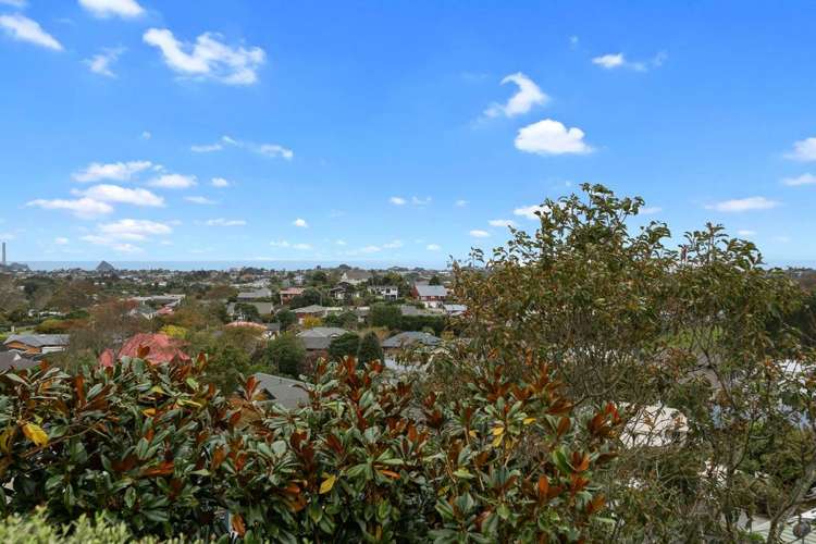 41a Veale Road Frankleigh Park_7