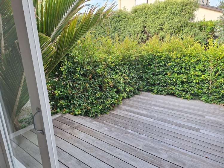 5/9 Wright Road Point Chevalier_10