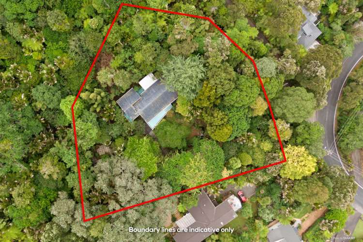 20 Takahe Road Titirangi_11