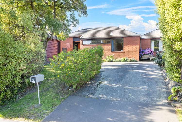 1/9 Grange Street Hillsborough_17