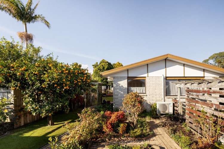 10A Tutauanui Crescent Maungatapu_0