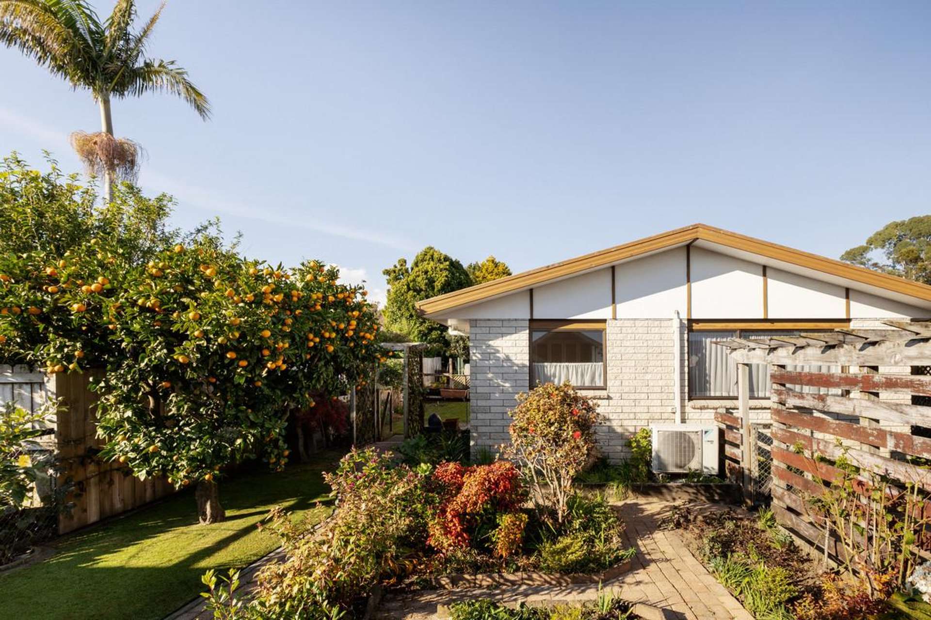 10A Tutauanui Crescent Maungatapu_0