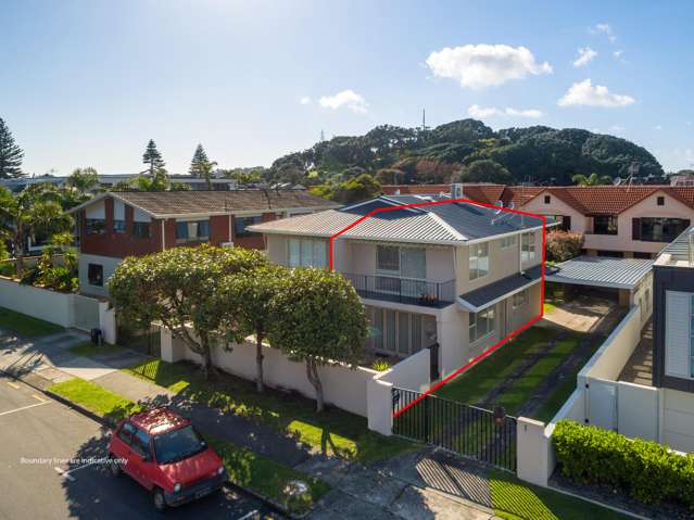 18a Commons Avenue Mount Maunganui_2