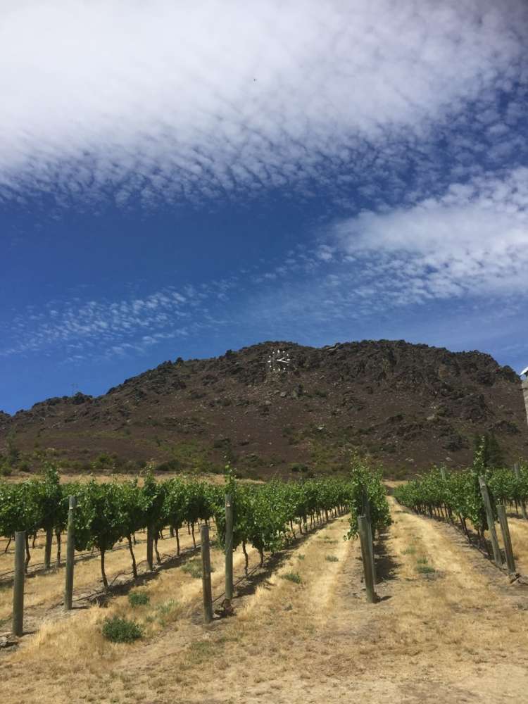 65 Graveyard Gully Road Alexandra_18