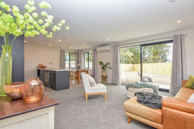 3/93 Harley Street Masterton_1