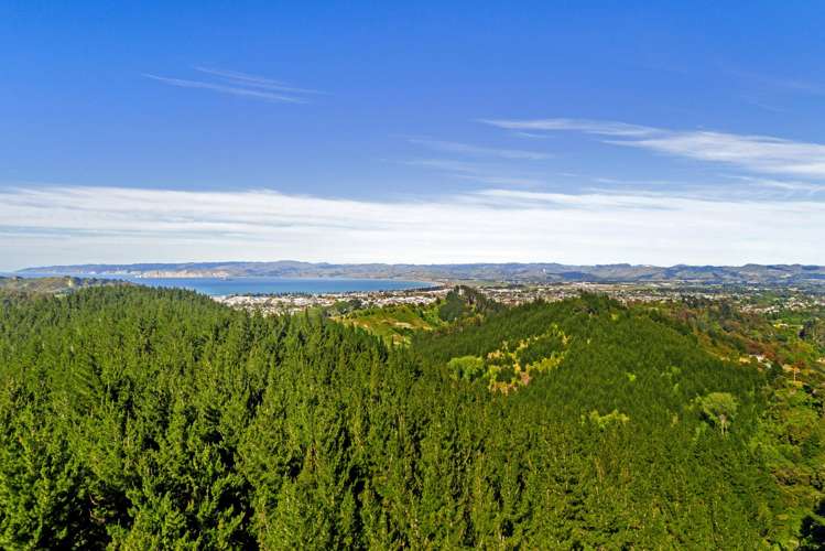 Riverside Road Matokitoki_7