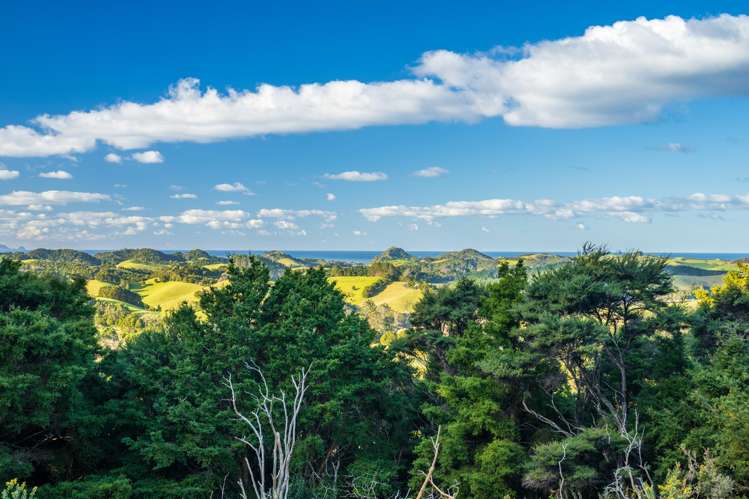 345 Taraunui Road Parua Bay_40