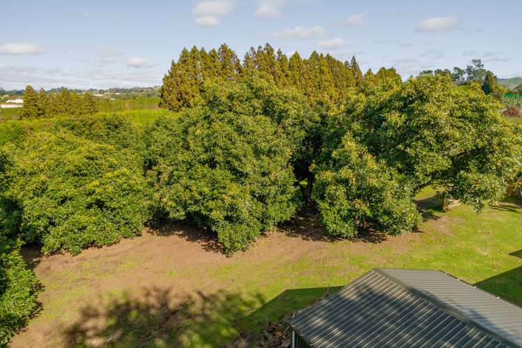 472 No 3 Road Te Puke_10