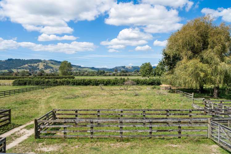 58 St Kilda Road Cambridge_25