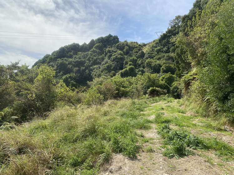 Upper Buller Gorge Road, Inangahua Reefton_7