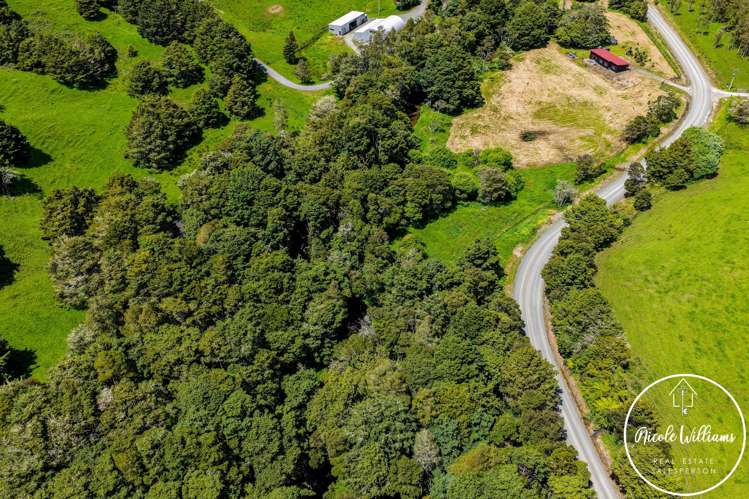 437 Paparoa Station Road Paparoa_25