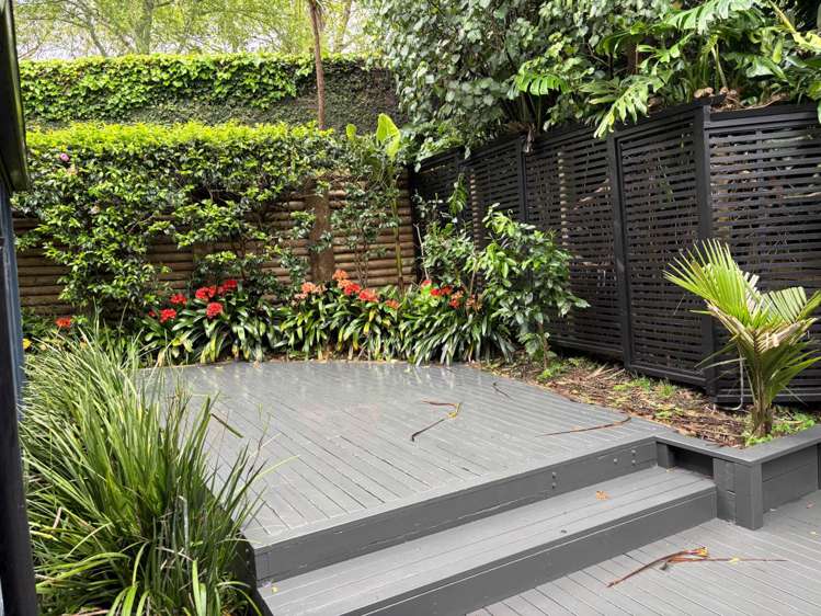 6 Cotter Avenue Remuera_13