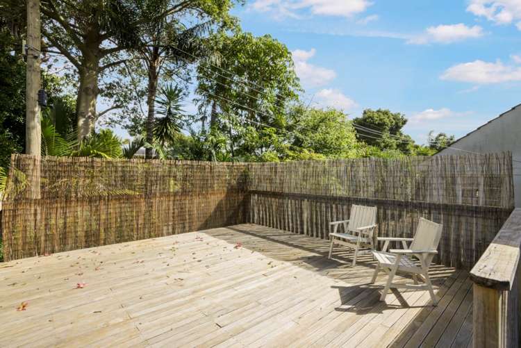 794b Dominion Road Mount Eden_12