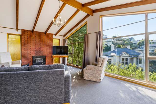 3 Henry Street Maori Hill_3