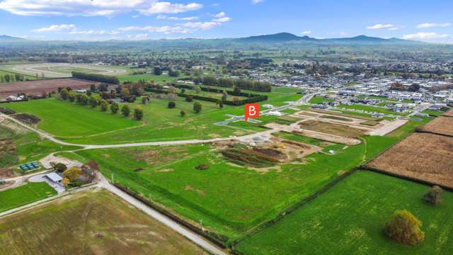 85 Tokotoko Parade Matamata_2