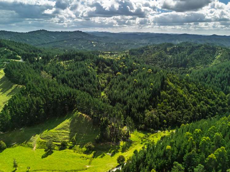 Pokapu Road Matawaia_1