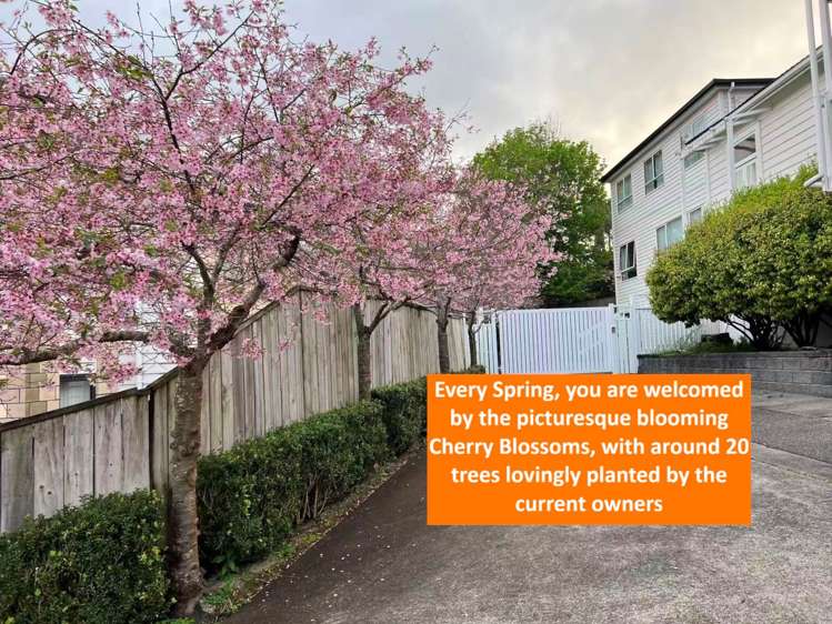 57C Point View Drive_3