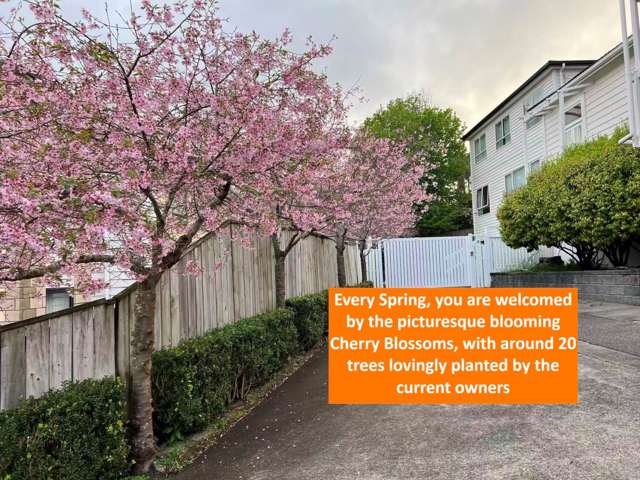 57C Point View Drive East Tamaki Heights_4