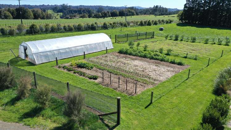 1961 Te Matai Road Te Puke_26