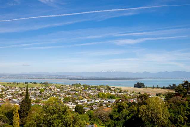 78A Tosswill Road Tahunanui_3