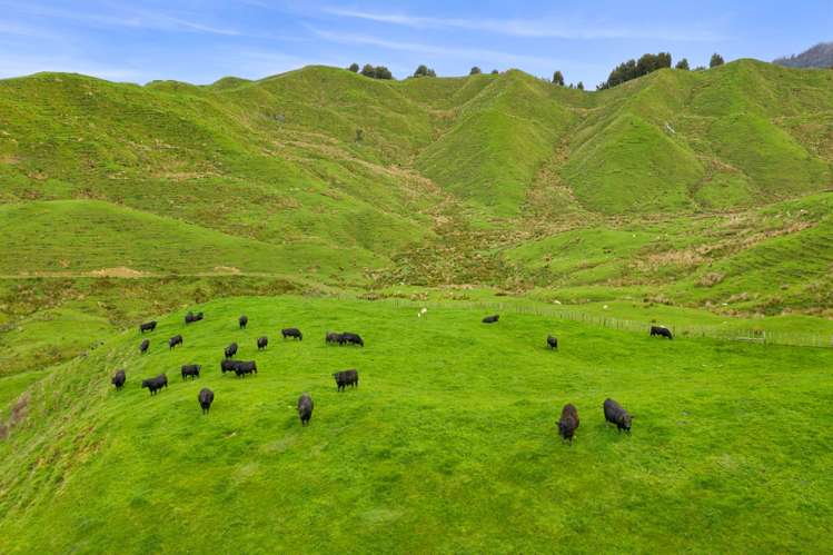 486 Ngatarawa Road Mahoenui_25