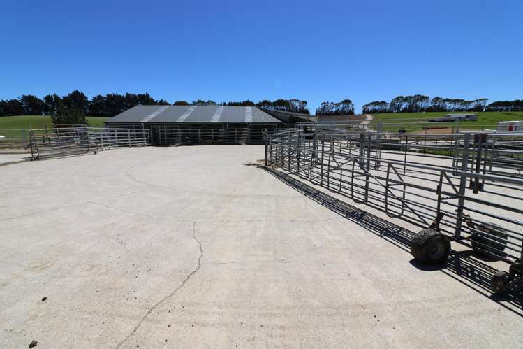 878 Downs Road Edendale_9