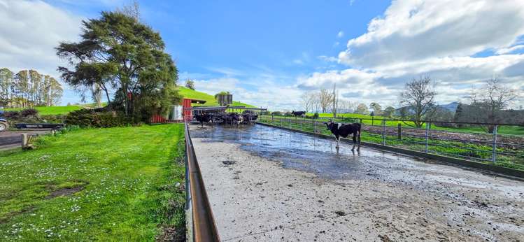83 Brett Road Rerewhakaaitu_14