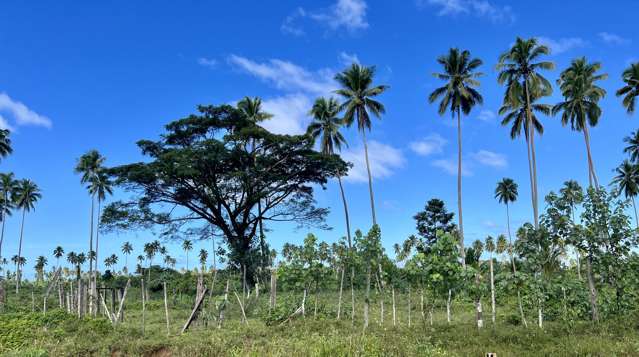 lot1,2,3,4 Belego Estate, Savusavu Vanua Levu_2